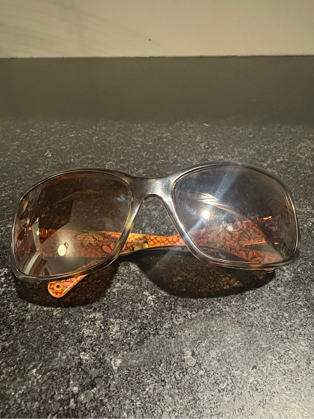 Women's Oversized Coach Sunglasses in Brown with Flower Patterned Temples